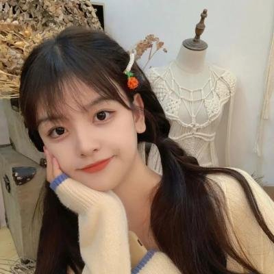 借脸
